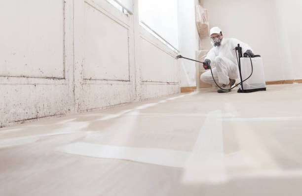 24/7 Emergency Bathroom Mold Removal experts in Fairplay, GA